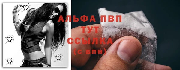 дмт Сатка