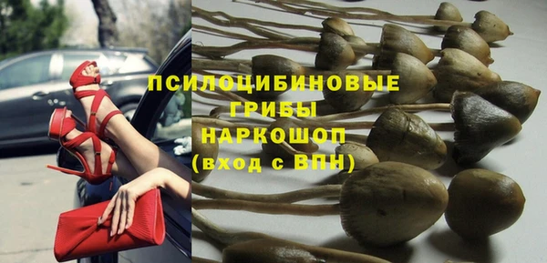 гидропоника Абинск