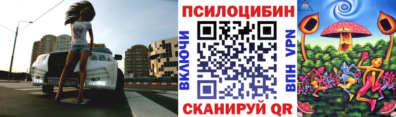 закладки Избербаш kraken ссылки Галлюциногенные грибы Magic Shrooms